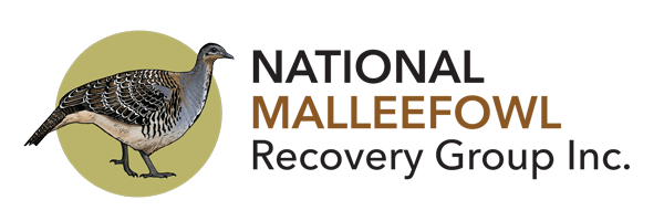 nationalmalleefowl